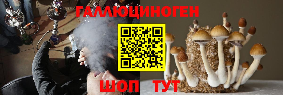Гагарин  Галлюциногенные грибы мухоморы  Псилоцибиновые грибы ЛСД  Вход с VPN 